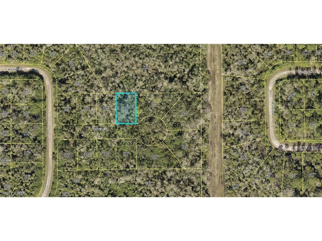 404 Marney Court Lehigh Acres FL 33972 222009751 image1