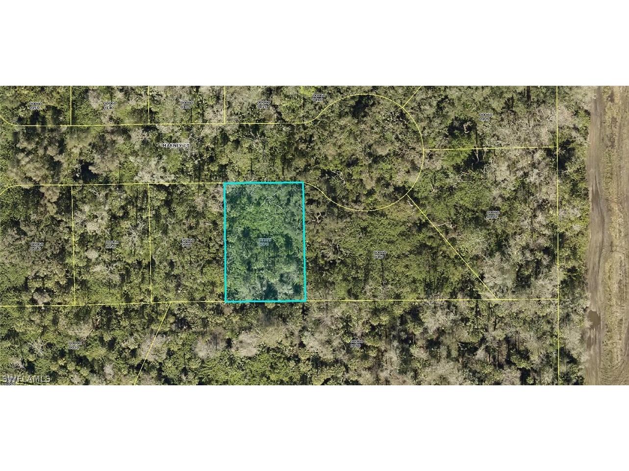 405 Marney Court Lehigh Acres FL 33972 222009735 image1