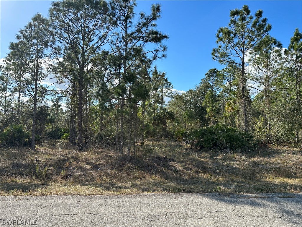 405 Wellington Avenue Lehigh Acres FL 33972 223007901 image1