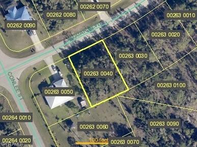 406 Jaguar Boulevard Lehigh Acres FL 33974 224006110 image1