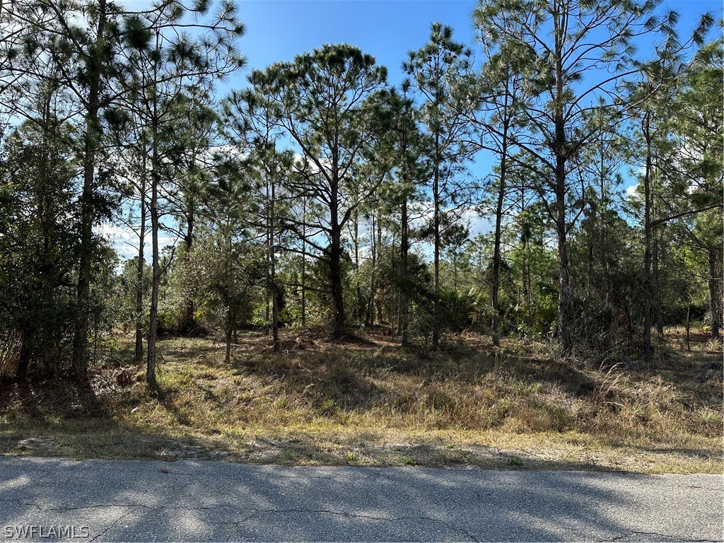 407 Wellington Avenue Lehigh Acres FL 33972 223007903 image1