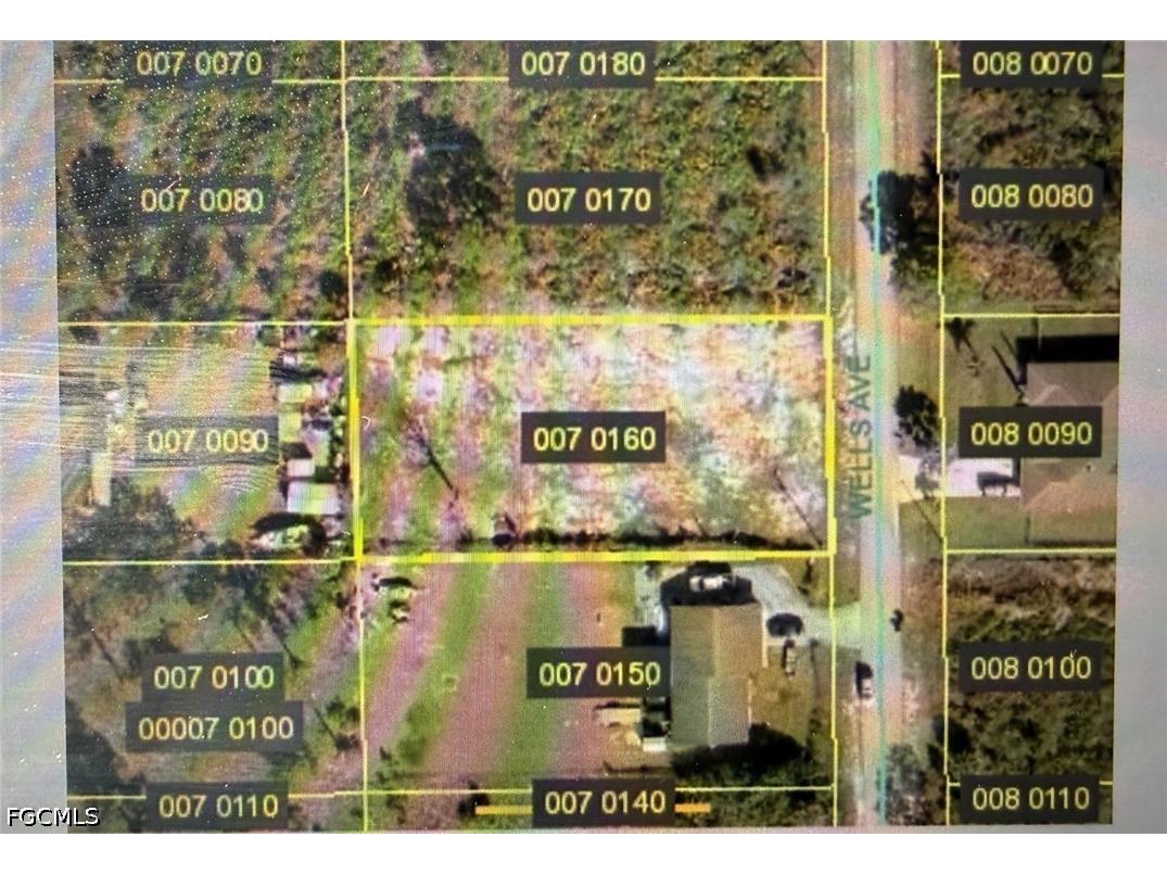 407 Wells Avenue Lehigh Acres FL 33972 2026018043 image4