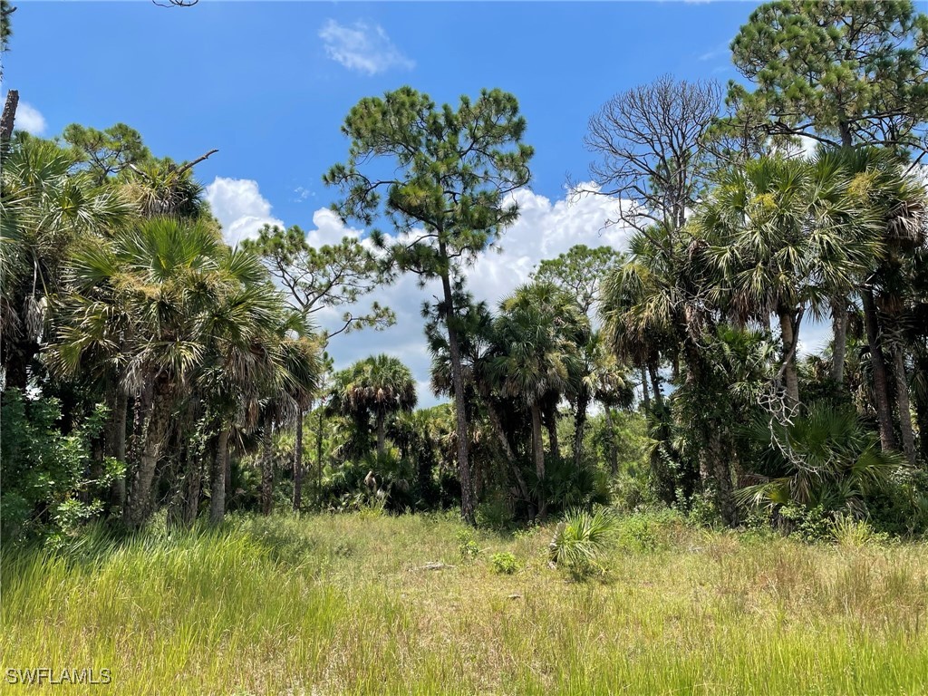 408 Valleybrook Drive Labelle FL 33935 224102952 image1