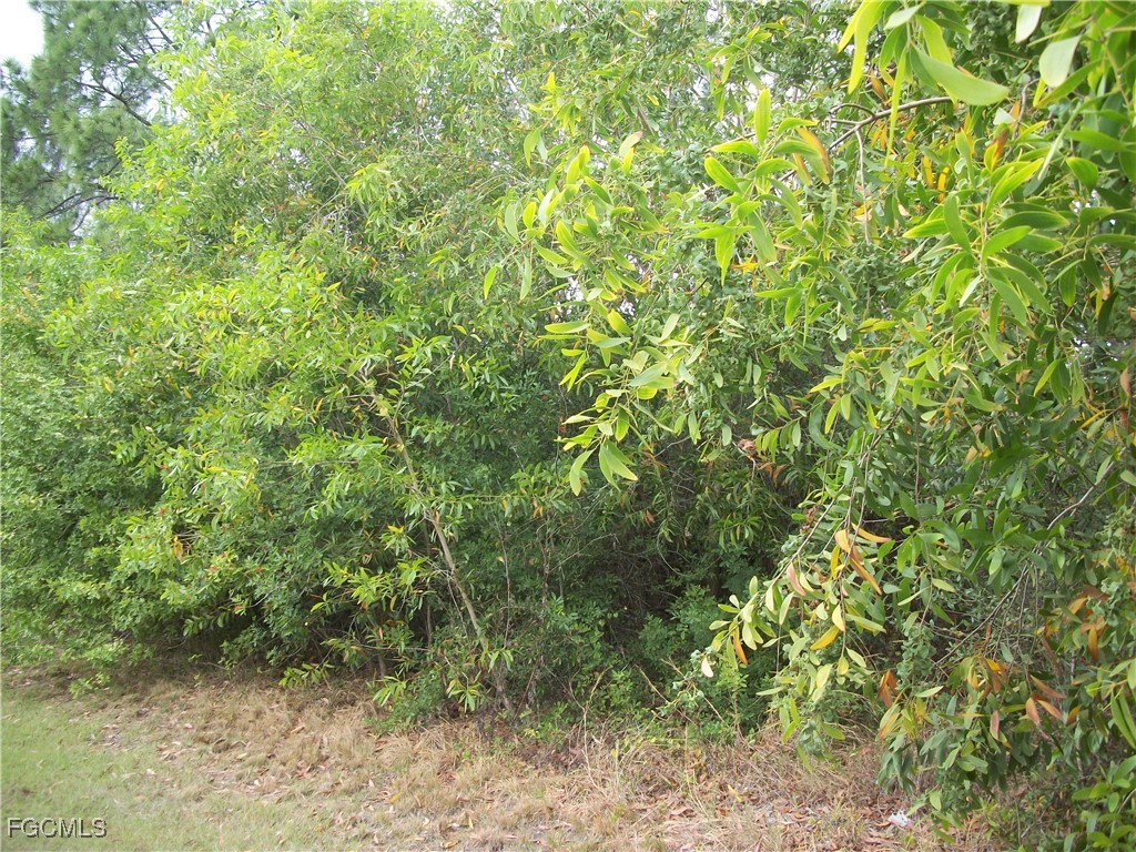 409 Camino Real Boulevard Clewiston FL 33440 2026003277 image1