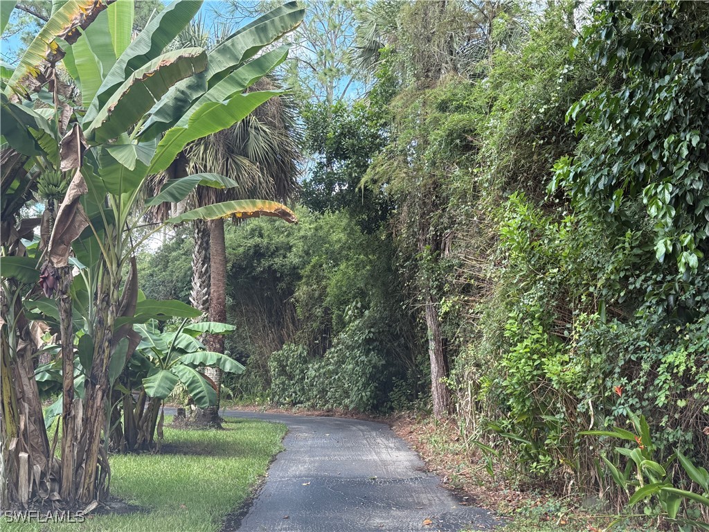 410 6th Street NE Naples FL 34120 225070820 image39