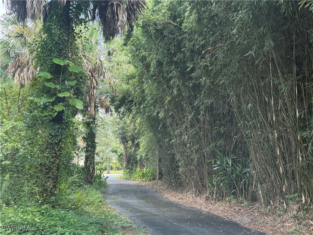 410 6th Street NE Naples FL 34120 225070820 image40