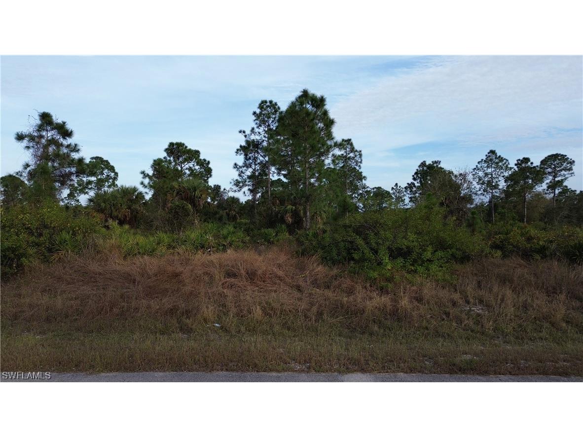 410 Leroy Avenue Lehigh Acres FL 33972 224003449 image1