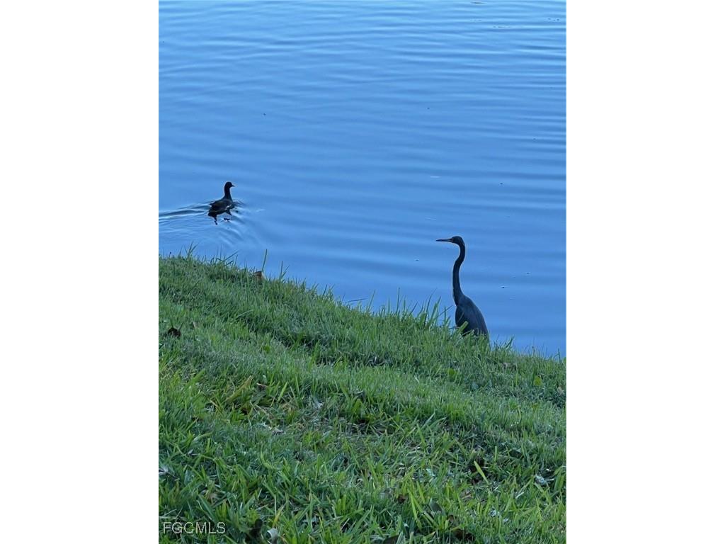 4100 Steamboat Bend E #501 Fort Myers FL 33919 2025021552 image20