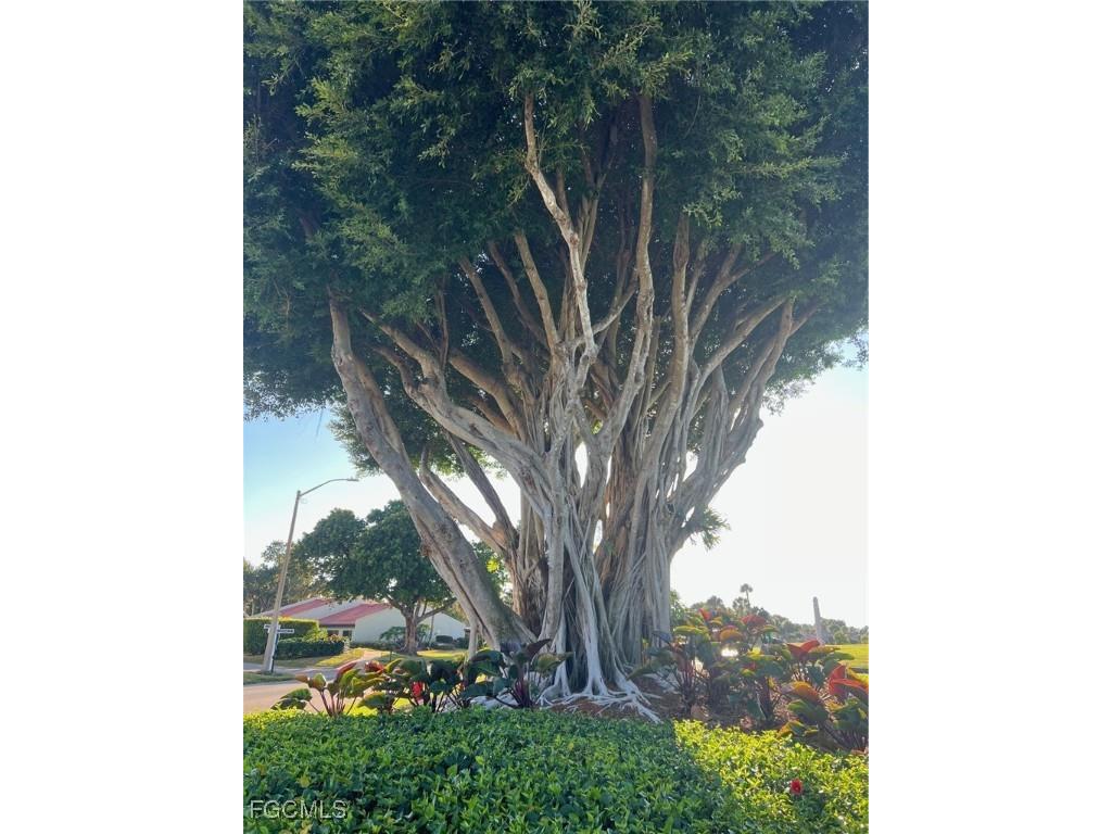 4100 Steamboat Bend E #501 Fort Myers FL 33919 2025021552 image27