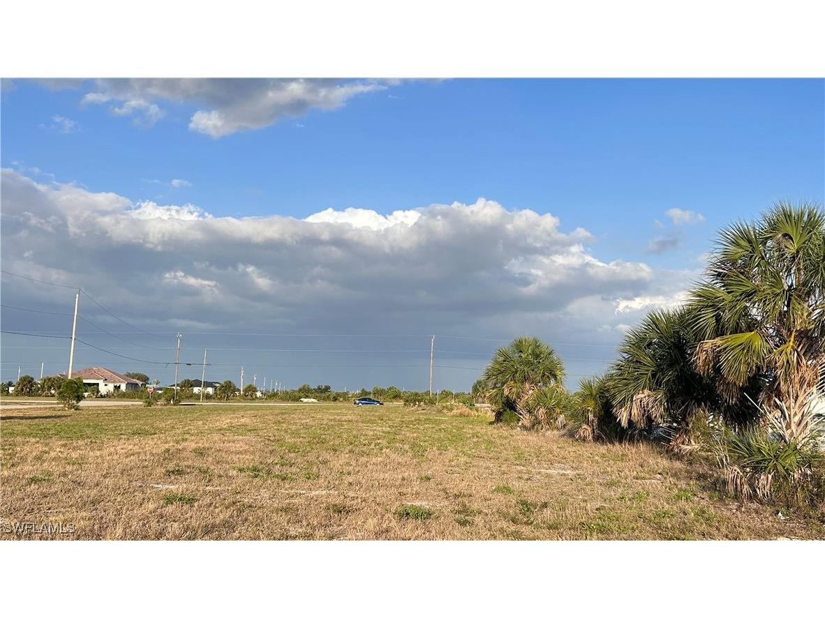 4102 NW 39th Lane Cape Coral FL 33993 225041485 image9