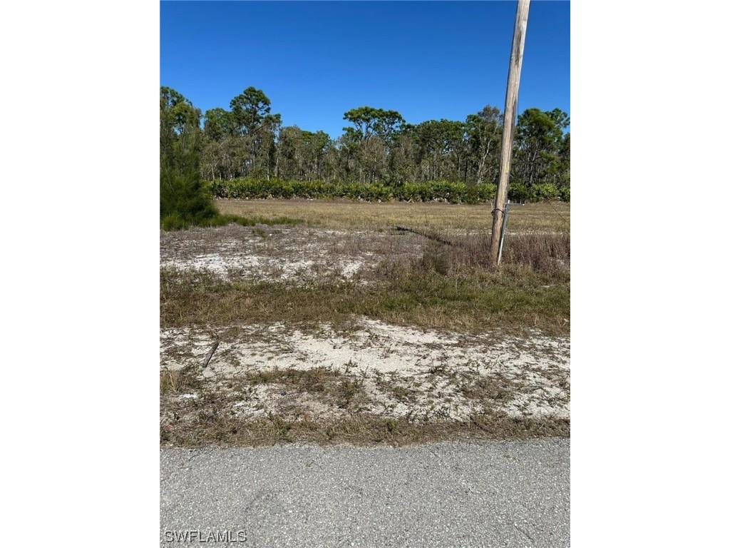 4105 NW NW 22nd Terrace Cape Coral FL 33993 224013074 image1