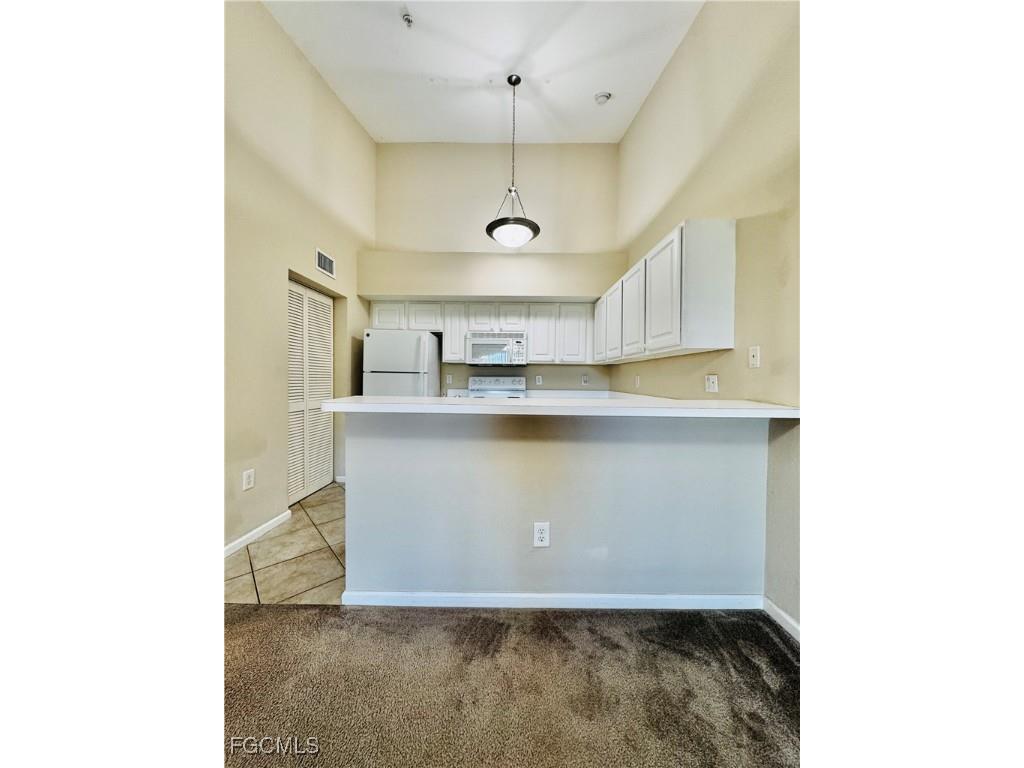 4105 Residence Drive #719 Fort Myers FL 33901 2026000617 image10