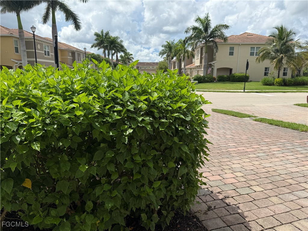 4105 Wilmont Place Fort Myers FL 33916 2025009655 image6