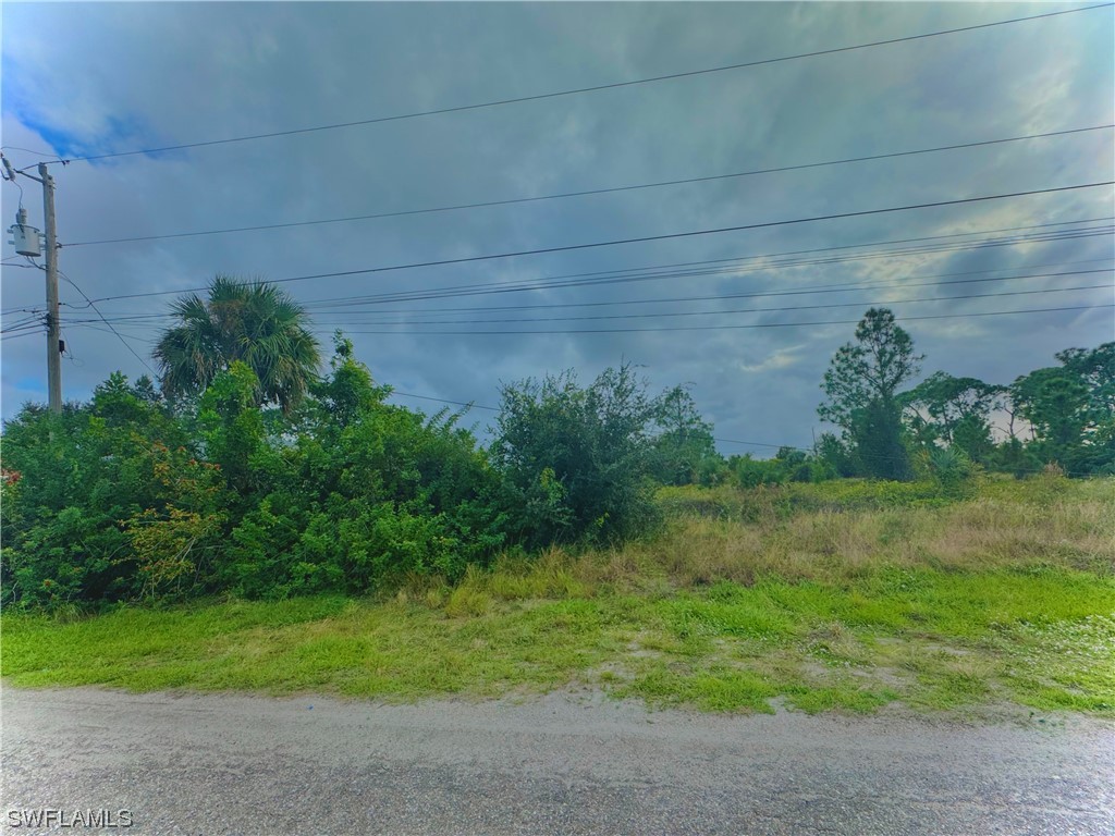 4107 13th Street SW Lehigh Acres FL 33976 223085505 image1