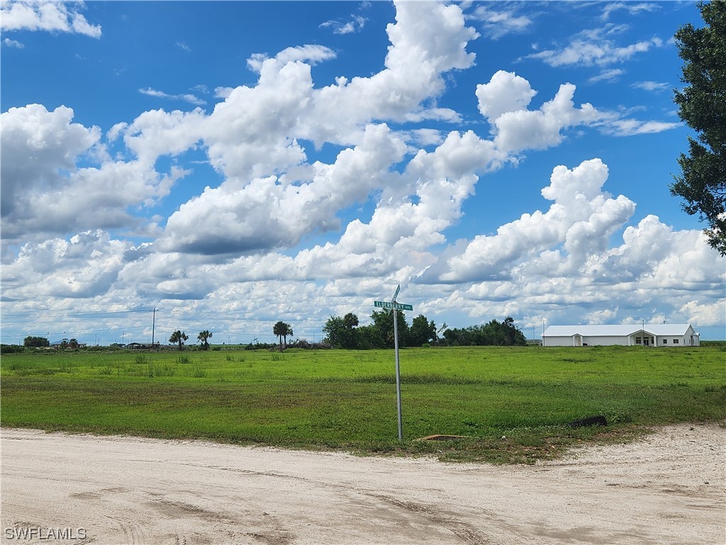 411 Elderberry Avenue Moore Haven FL 33471 223038857 image1