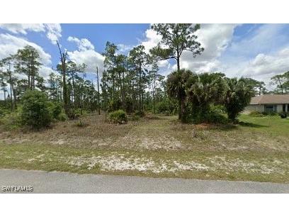 411 Johns Avenue Lehigh Acres FL 33972 225011126 image1