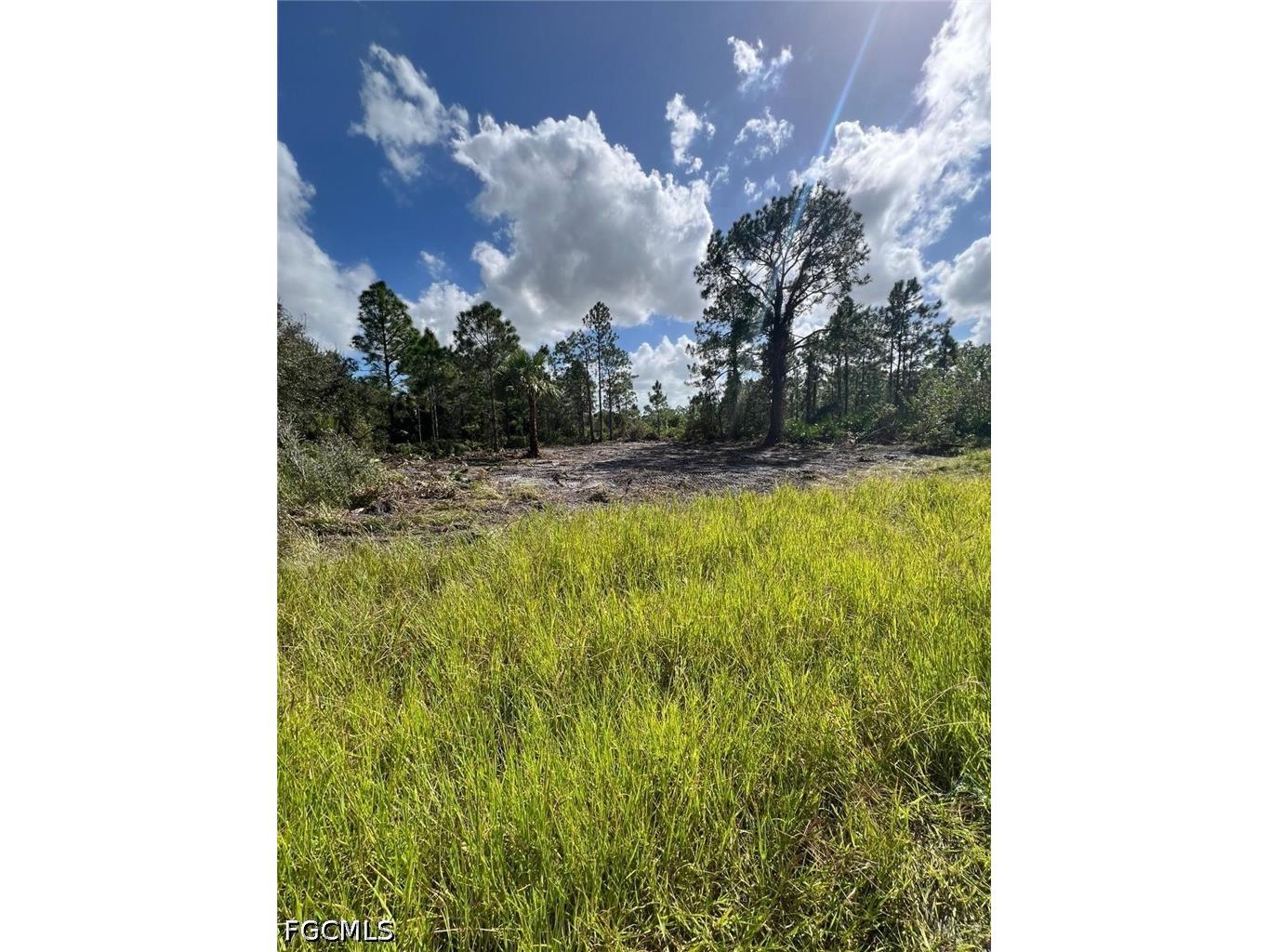 411 Lovers Avenue Lehigh Acres FL 33974 2026015670 image2