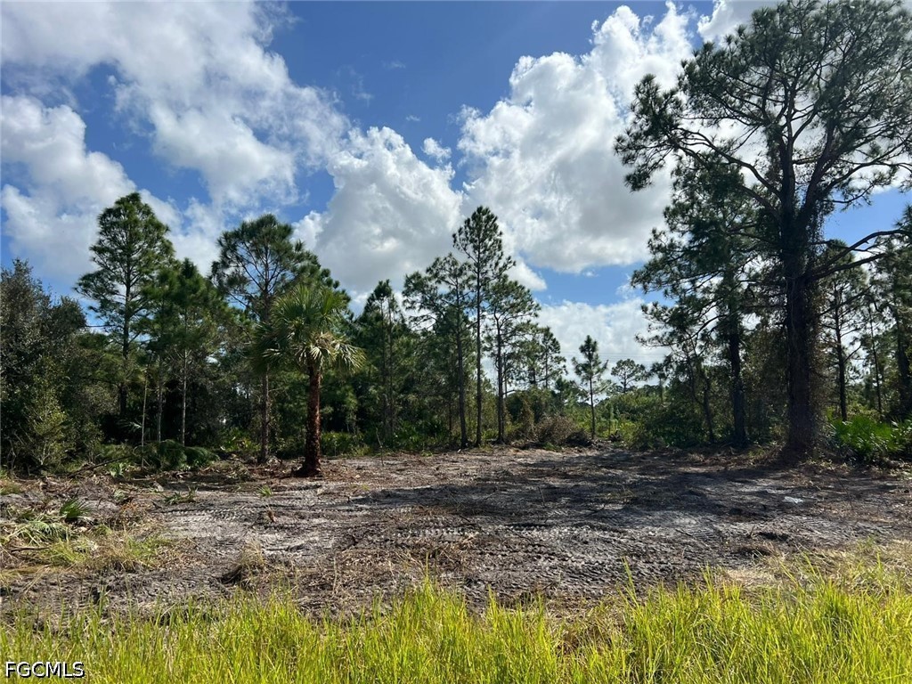 411 Lovers Avenue Lehigh Acres FL 33974 2026015670 image3