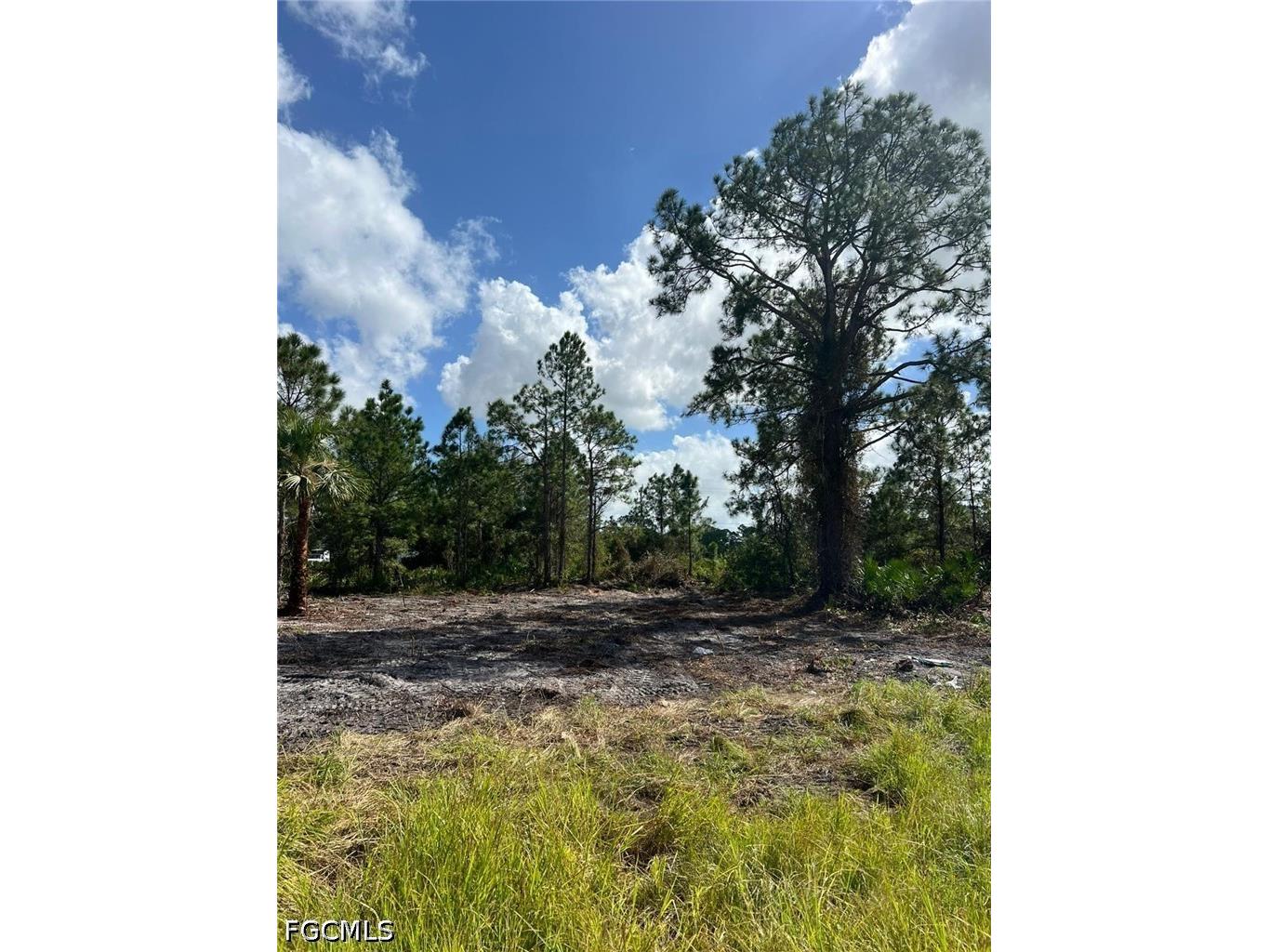 411 Lovers Avenue Lehigh Acres FL 33974 2026015670 image4