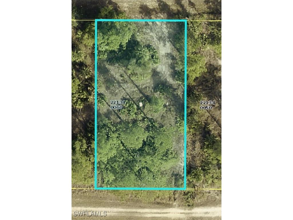 411 Tremaine Street Lehigh Acres FL 33972 225015906 image1