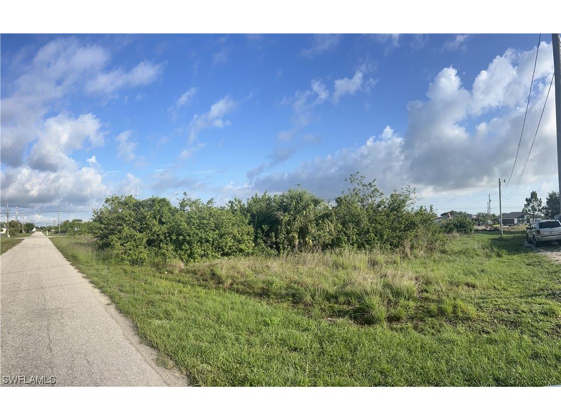 4114 20th Street SW Lehigh Acres FL 33976 223046230 image1