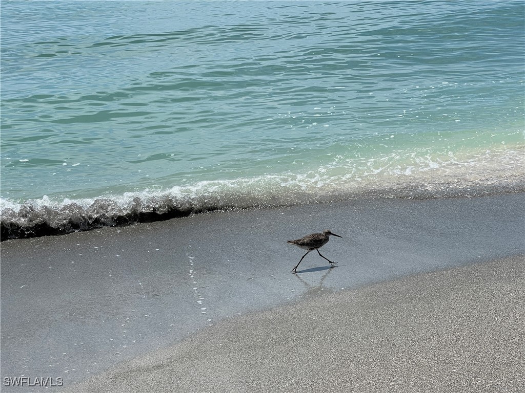 4116 Bayside Villas Captiva FL 33924 225053872 image26