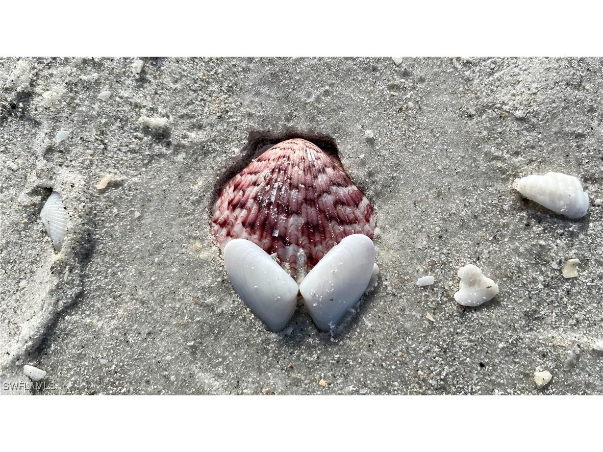 4116 Bayside Villas Captiva FL 33924 225053872 image28