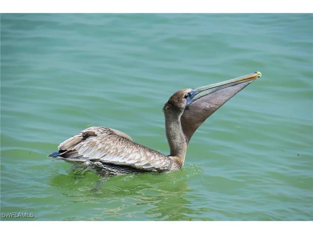 4116 Bayside Villas Captiva FL 33924 225053872 image32