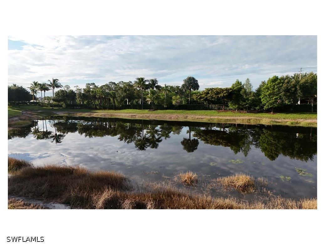 4118 Raffia Drive Naples FL 34119 226020258 image37