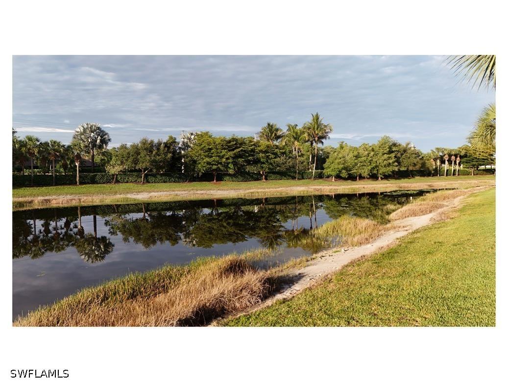 4118 Raffia Drive Naples FL 34119 226020258 image38