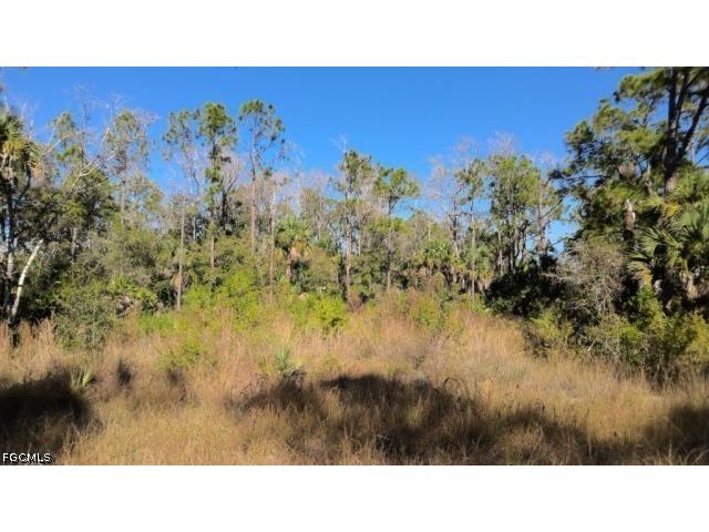 412 Lakeridge Boulevard Lehigh Acres FL 33972 2026021609 image1