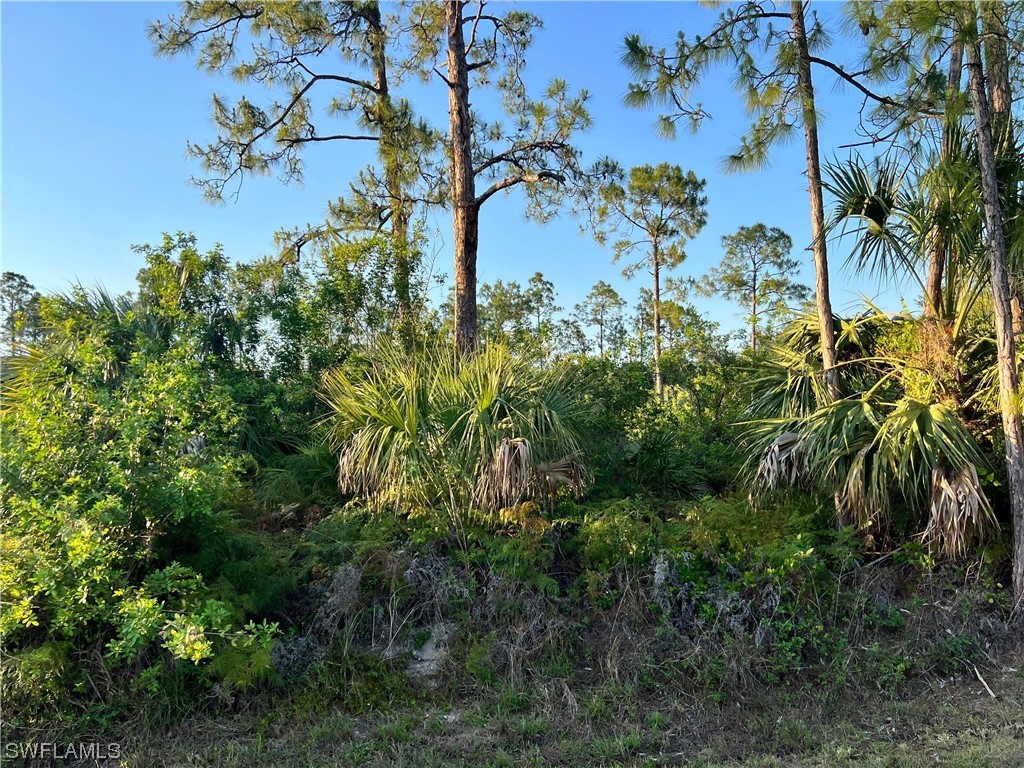 4124 6th Avenue NE Naples FL 34120 223035868 image1