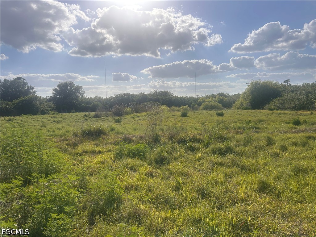 41241 Little Farm Road Punta Gorda FL 33982 2026017361 image18