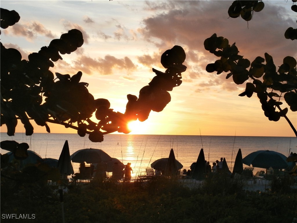 4125 Bayhead Drive #201 Bonita Springs FL 34134 225078092 image19