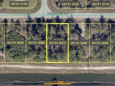 413 Tremaine Street Lehigh Acres FL 33972 224002464 image1