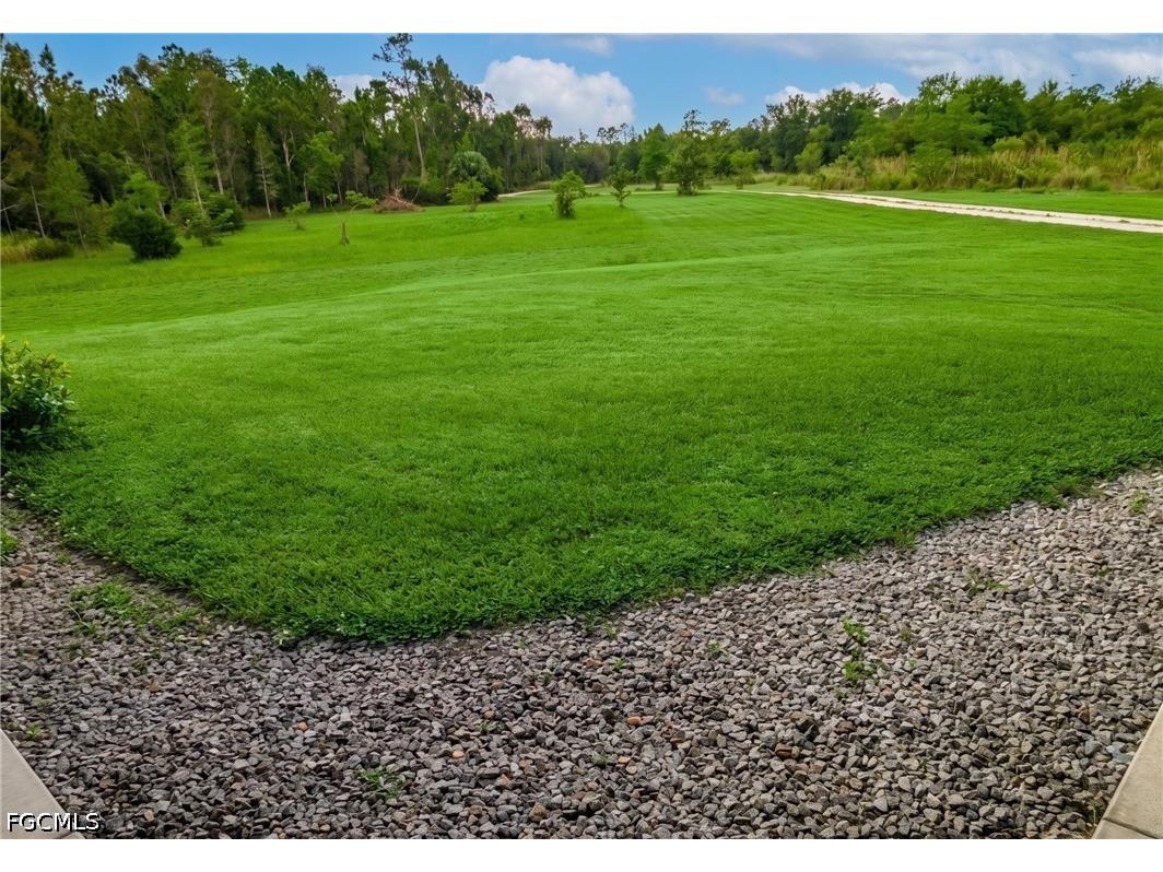 41300 Horseshoe Road Punta Gorda FL 33982 2025004135 image19