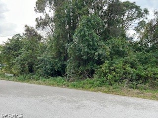 414 Broadmoor Street Lehigh Acres FL 33974 224008895 image1