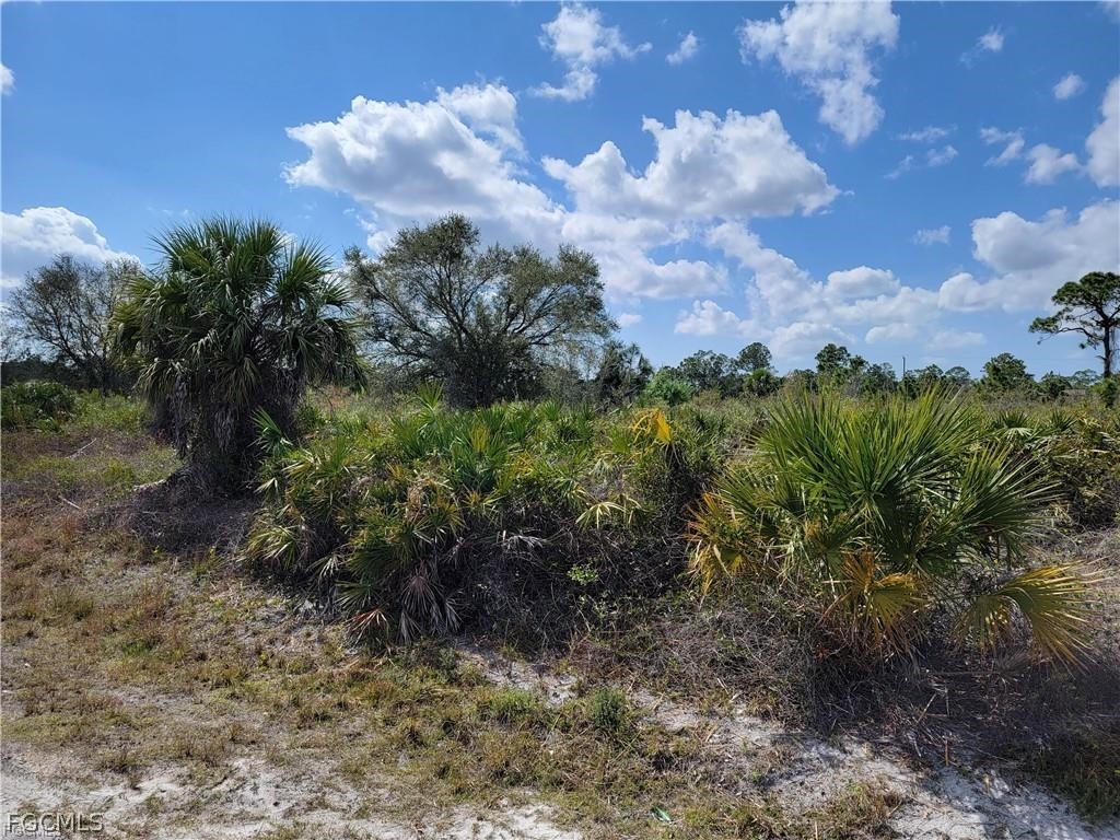 415 Scott Avenue Lehigh Acres FL 33972 2026013269 image3