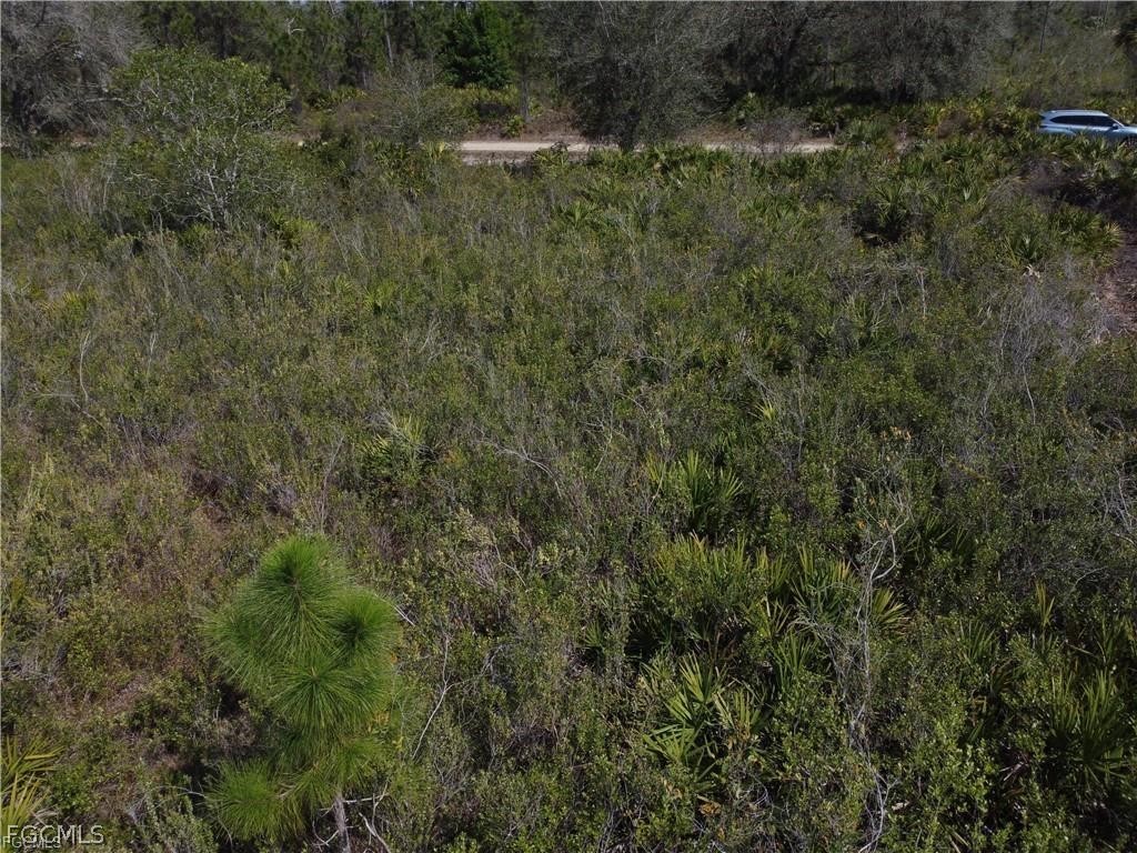 415 Scott Avenue Lehigh Acres FL 33972 2026013269 image9