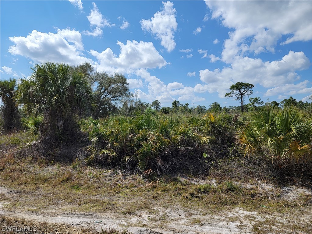 415 Scott Avenue Lehigh Acres FL 33972 224018009 image1