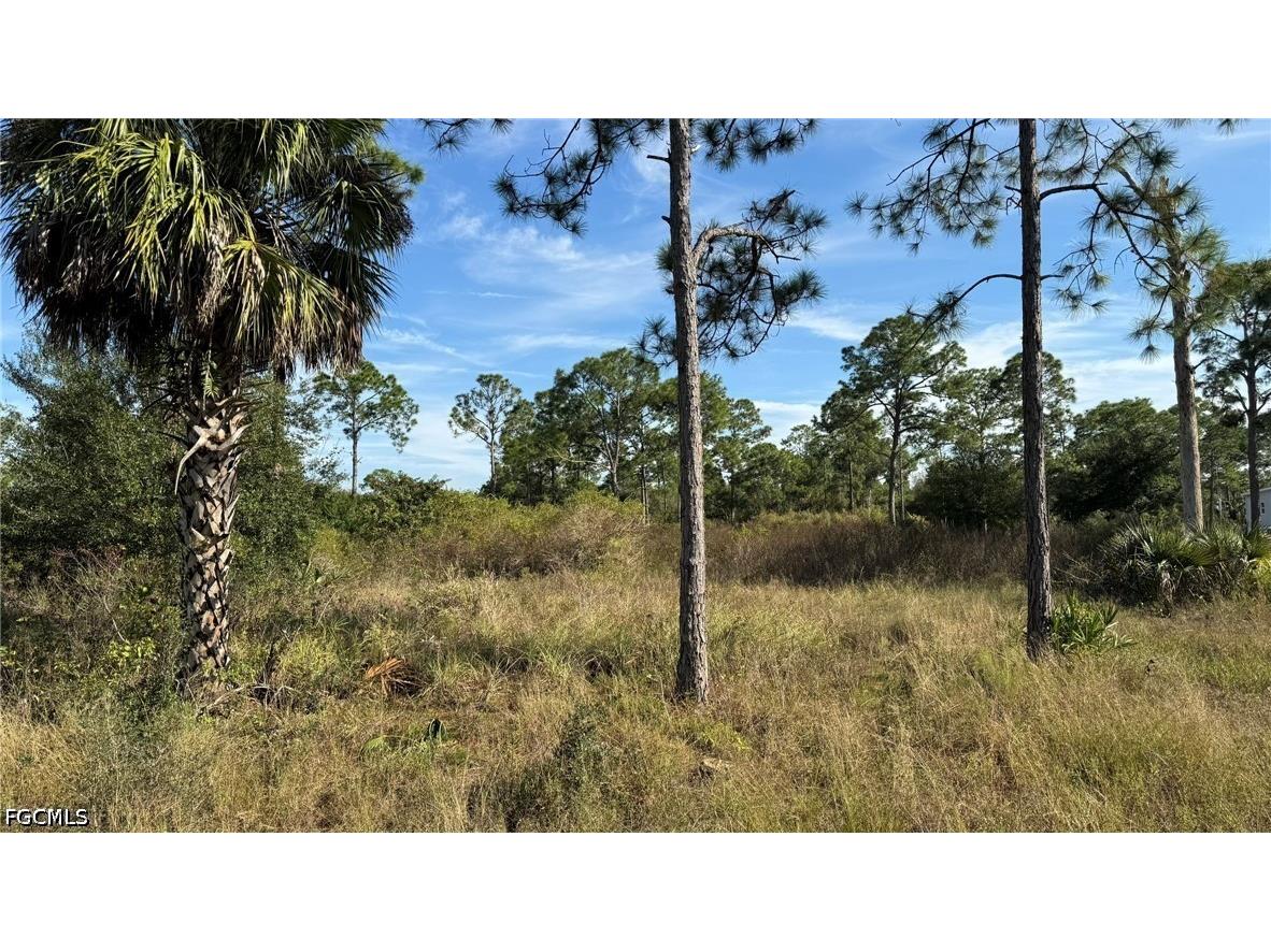 4155 Pioneer 17th Street Clewiston FL 33440 2026027694 image3