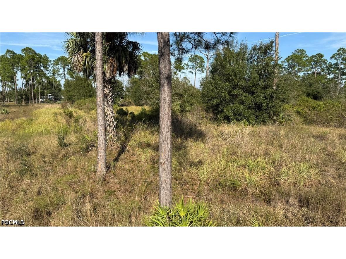 4155 Pioneer 17th Street Clewiston FL 33440 2026027694 image4