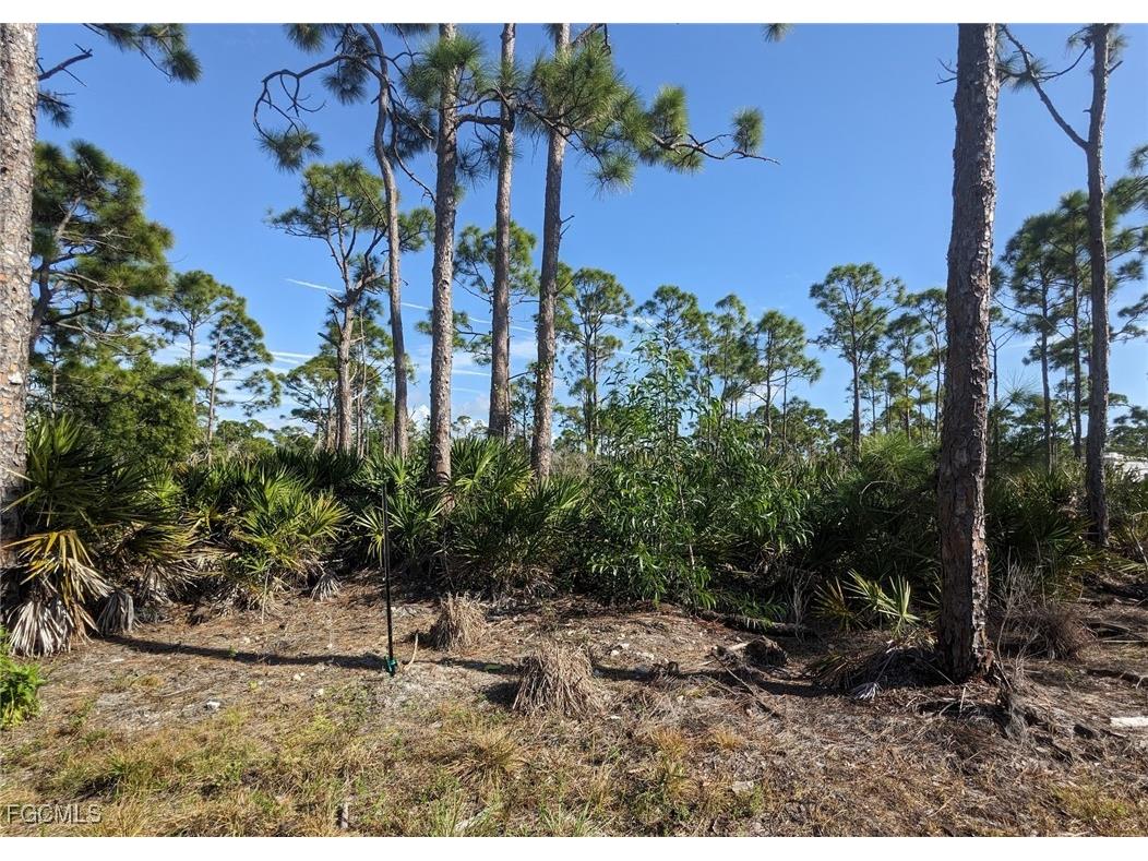 4159 Sunshine Boulevard Saint James City FL 33956 2025026389 image5