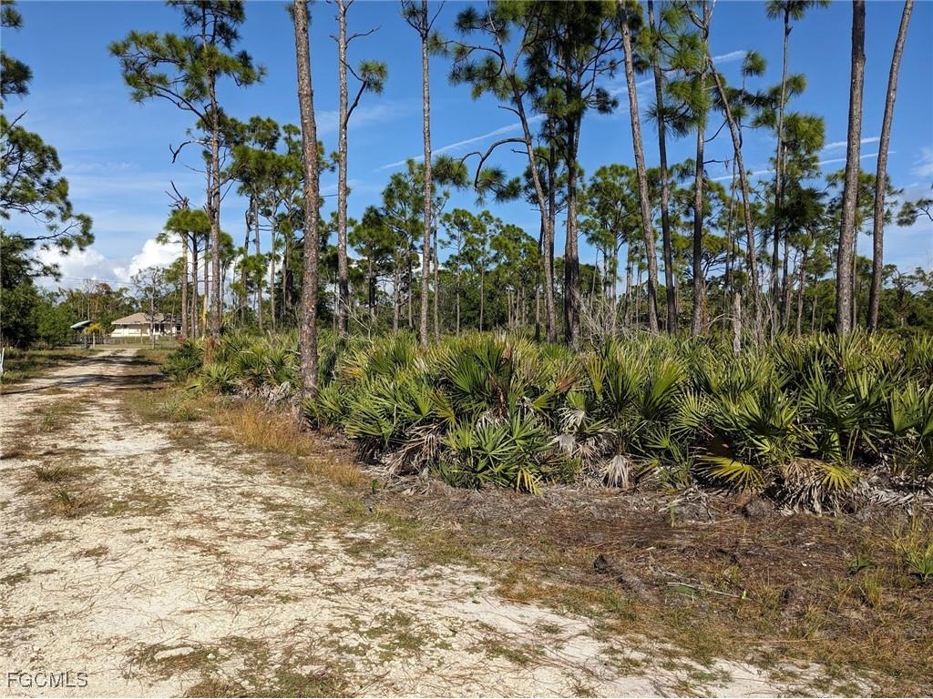4159 Sunshine Boulevard Saint James City FL 33956 2025026389 image6