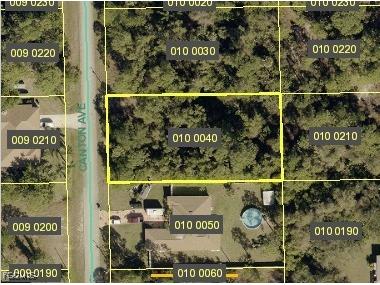416 Canton Avenue Lehigh Acres FL 33972 2025010835 image1