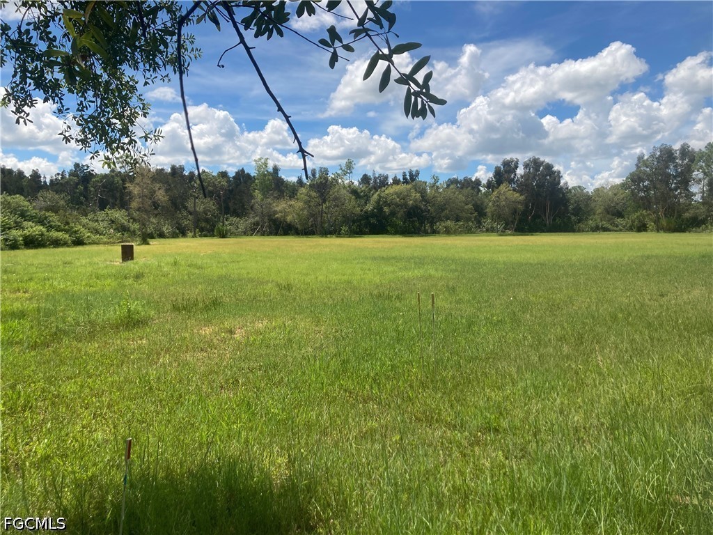 41601 Horseshoe Road Punta Gorda FL 33982 2026023074 image1