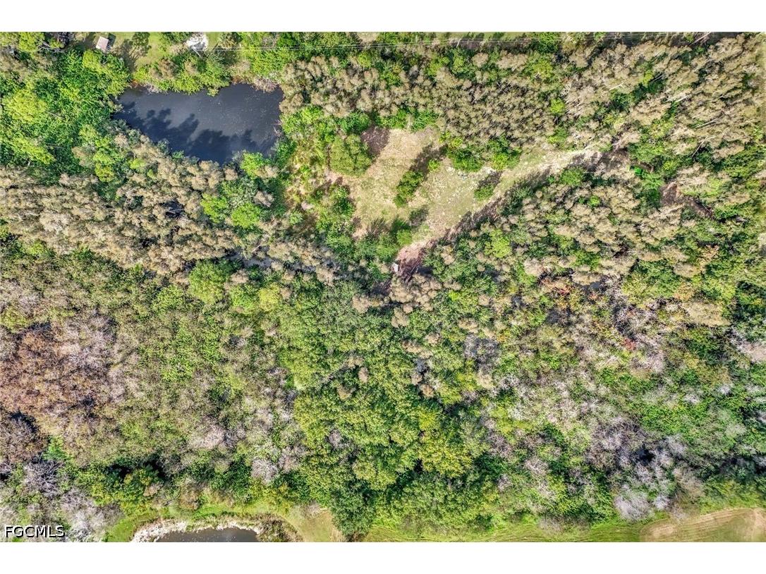 41601 Little Farm Road Punta Gorda FL 33982 2026018518 image11