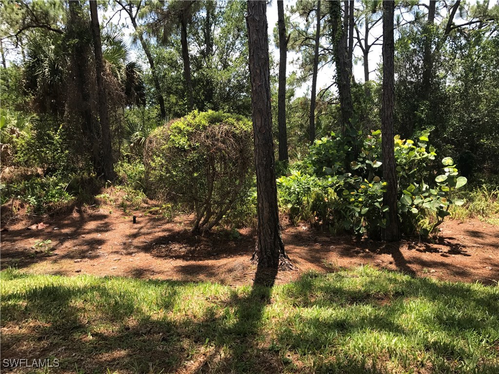 4161 Sawgrass Point Drive #101 Bonita Springs FL 34134 225057887 image23