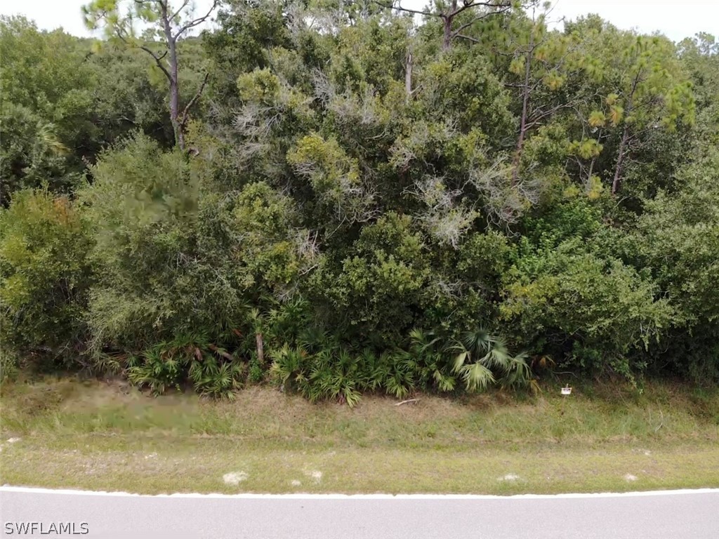 41640 Little Farm Road Punta Gorda FL 33982 222059193 image1