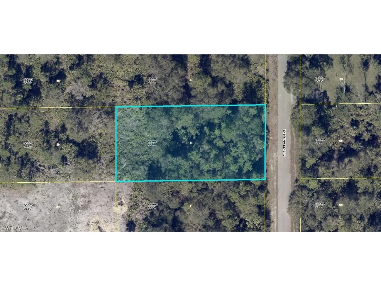 417 Cleveland Avenue Lehigh Acres FL 33972 223054740 image1